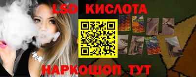 амф Кингисепп