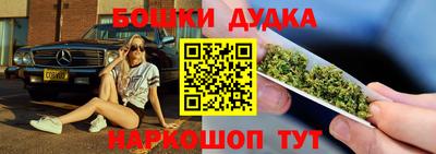spice Кинель