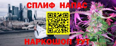 амф Кингисепп
