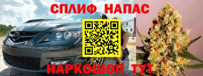 амф Кингисепп