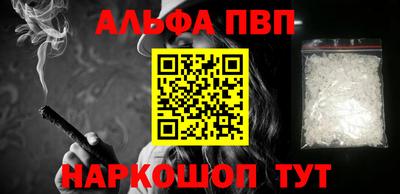 амф Кингисепп
