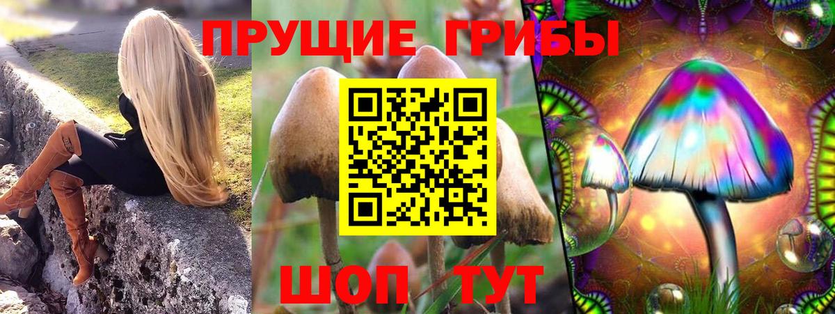 Галлюциногенные грибы Psilocybe Лангепас