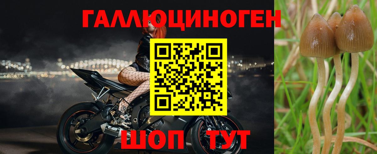 Галлюциногенные грибы MAGIC MUSHROOMS  Вход с VPN  Лангепас 